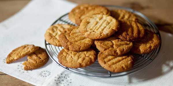 বিস্কুট