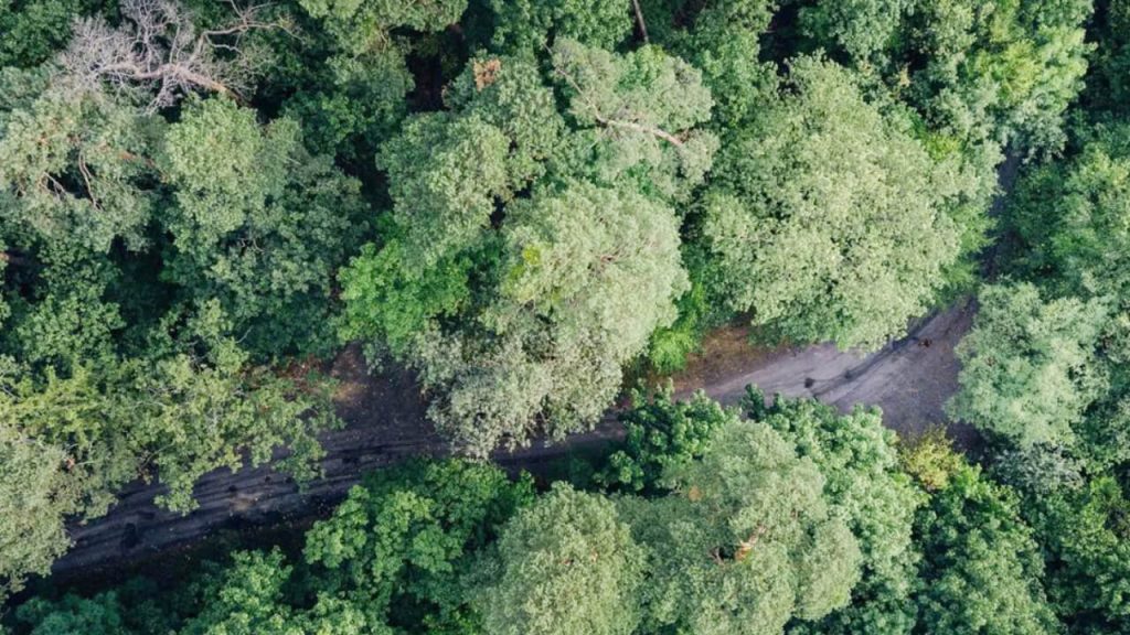 মিয়ানমারের ড্রোন হামলা