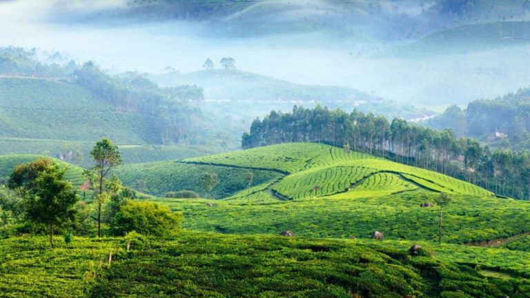 মুন্নার